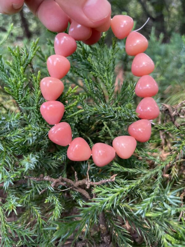 Colorful Bodhi Root