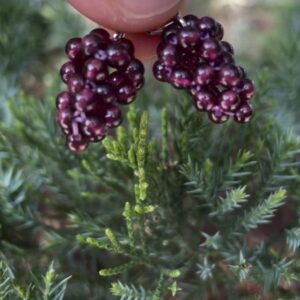Natural grape shaped garnet