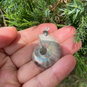 Ammonite Charm